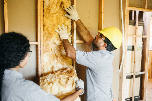 Best Basement Insulation  in Burbank, WA