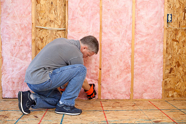 Best Insulation for New Construction  in Burbank, WA